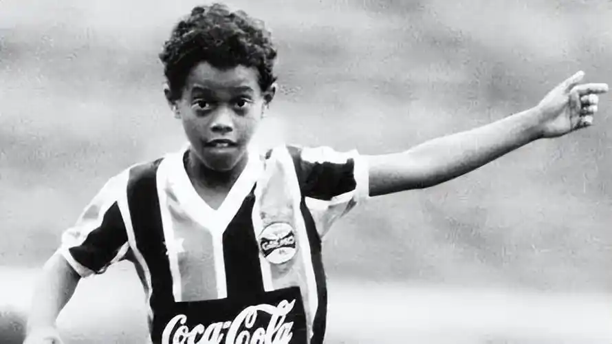 供广阔的成 供广阔的成