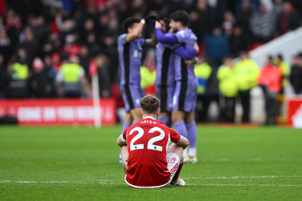 各个领域都 各个领域都