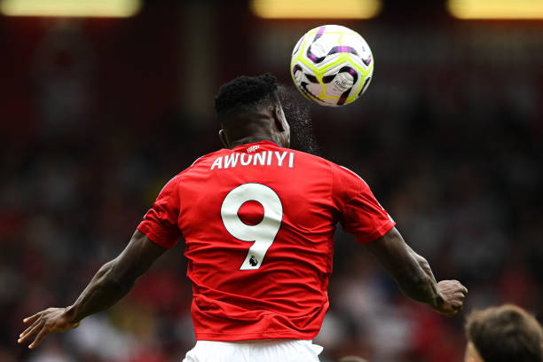 与情感共鸣 与情感共鸣